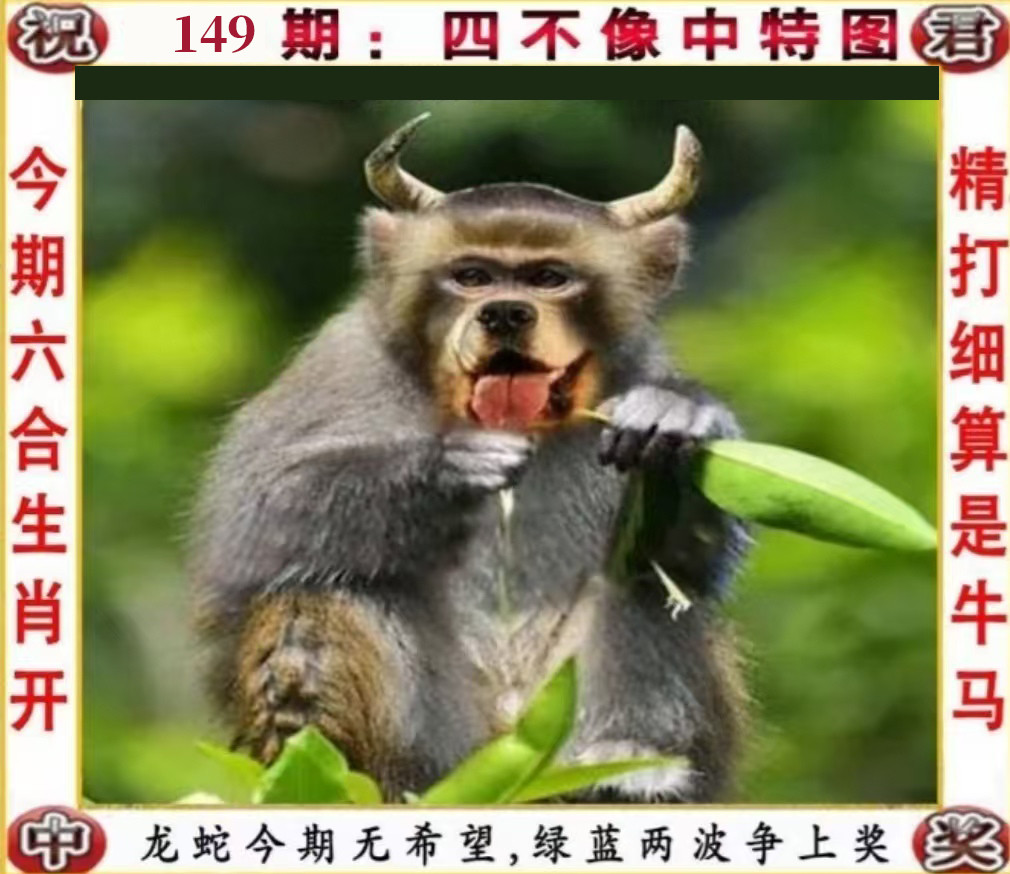 First Image
