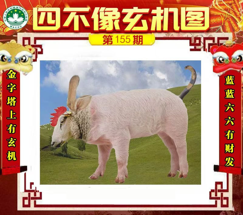 First Image