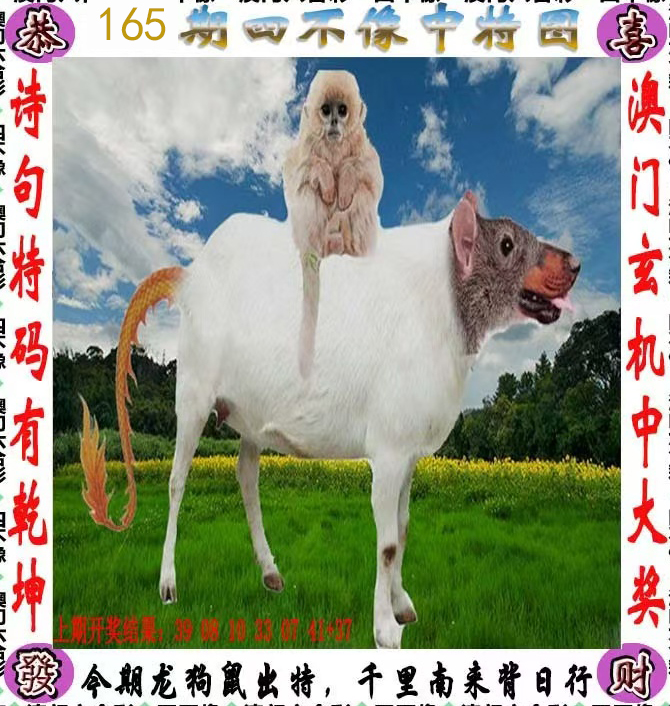 First Image