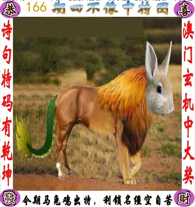 First Image