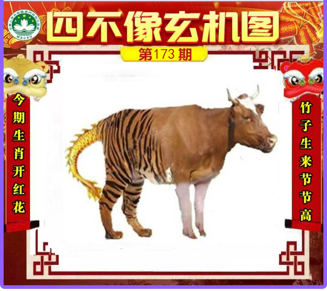 First Image