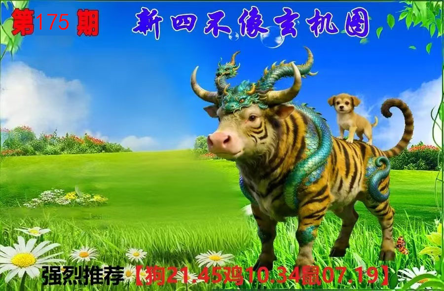 First Image