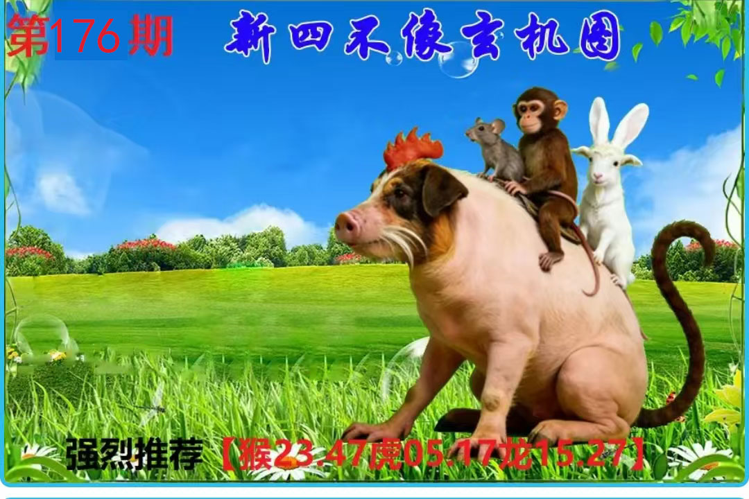 First Image