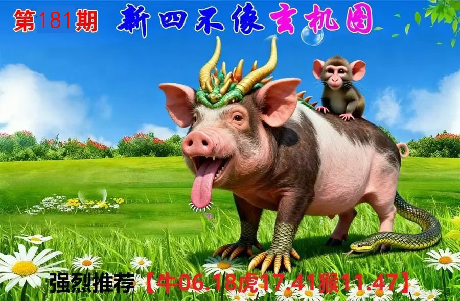 First Image