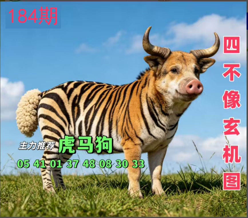 First Image