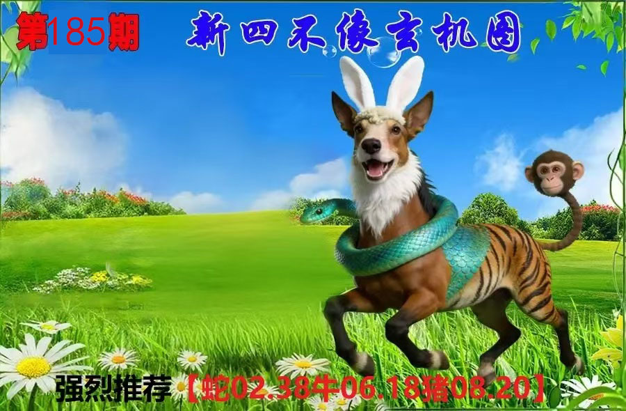 First Image